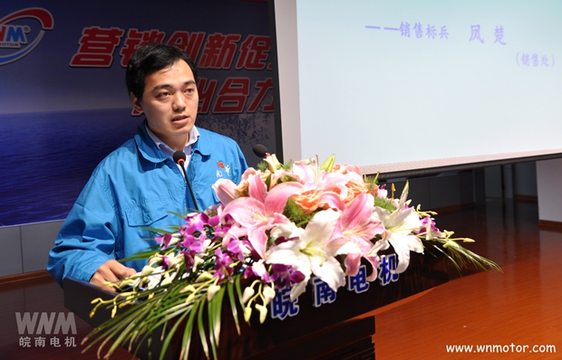 2015年度皖南電機銷售標(biāo)兵